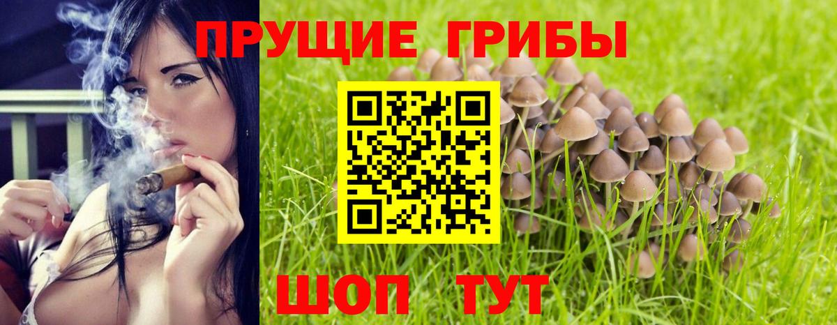 Галлюциногенные грибы GOLDEN TEACHER Муром