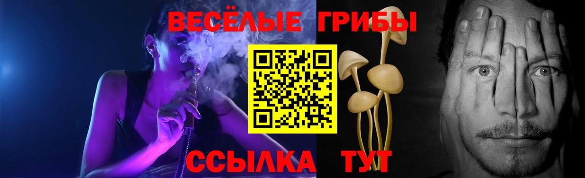 Псилоцибиновые грибы Psilocybe  Галлюциногенные грибы GOLDEN TEACHER  Муром  Вход с VPN 
